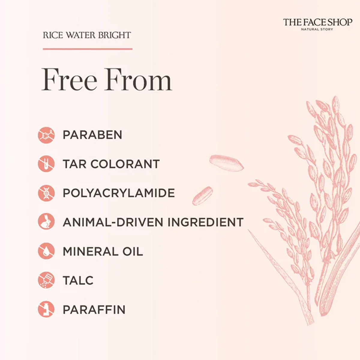 THE FACE SHOP Rijstwater Brigh - Luxury Skincare Shop recensie en prijs